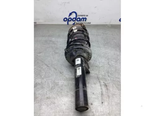 Schokdemperpoot links-voor-8191011