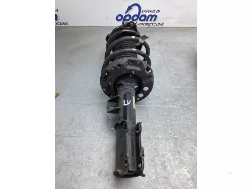 Schokdemperpoot links-voor-8192977