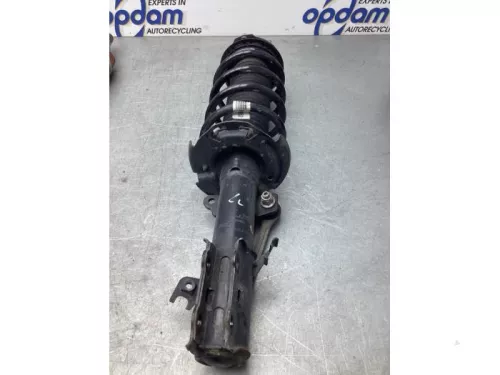 Schokdemperpoot links-voor-8055220