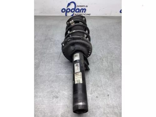 Schokdemperpoot links-voor-8225633