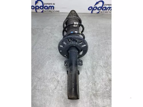 Schokdemperpoot links-voor-8050256