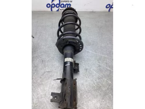 Schokdemperpoot links-voor-7916698