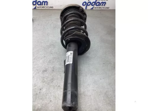 Schokdemperpoot links-voor-8174124