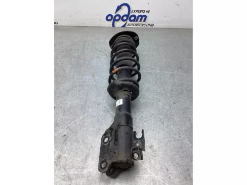 Schokdemperpoot links-voor-8135112