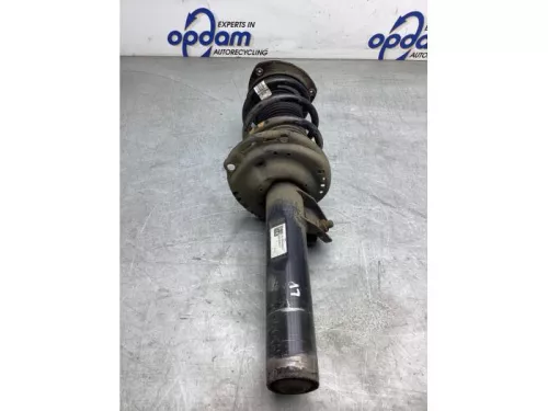 Schokdemperpoot links-voor-8177285