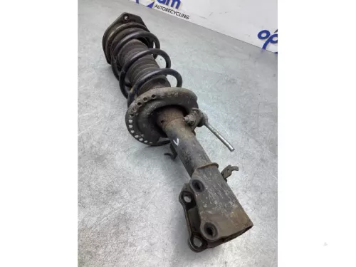 Schokdemperpoot links-voor-7916839