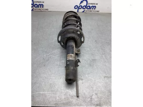 Schokdemperpoot links-voor-8060473