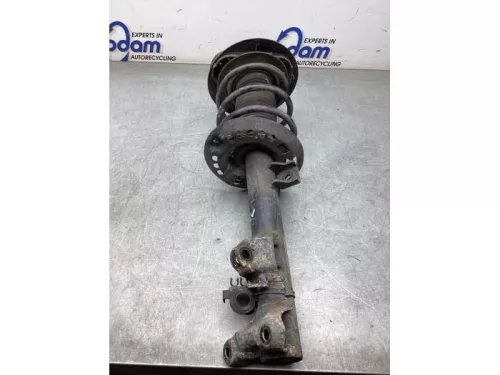 Schokdemperpoot links-voor-8126952