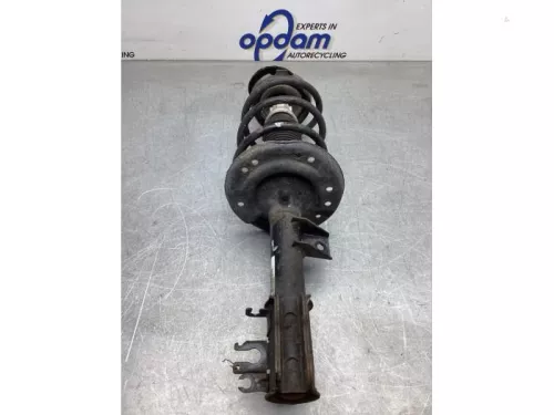 Schokdemperpoot links-voor-8132532