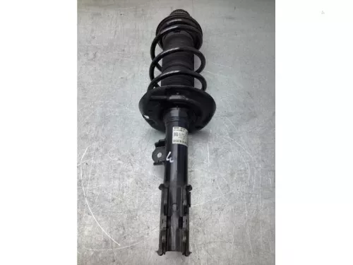 Schokdemperpoot links-voor-8110715