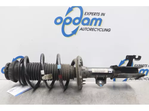 Schokdemperpoot links-voor-7711978