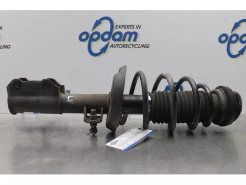 Schokdemperpoot links-voor-7582918