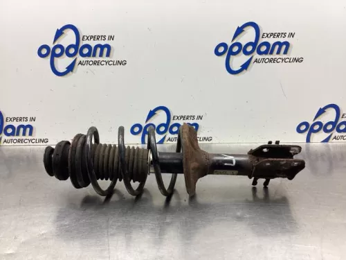 Schokdemperpoot links-voor-7895263