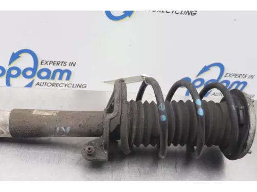 Schokdemperpoot links-voor-7576341