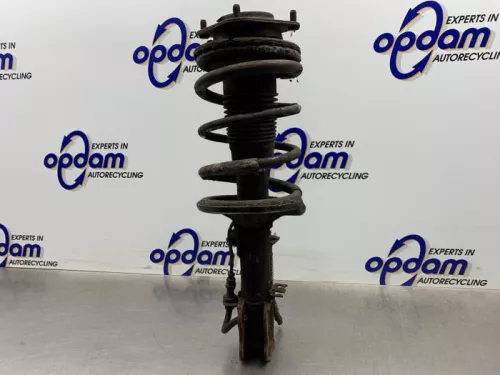 Schokdemperpoot links-voor-7882579