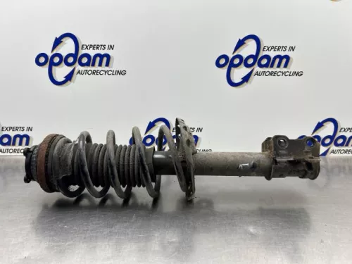 Schokdemperpoot links-voor-8308812