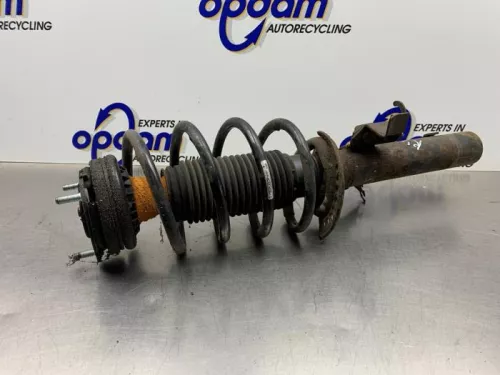 Schokdemperpoot links-voor-8299098