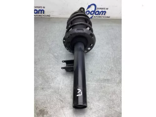 Schokdemperpoot links-voor-8225717