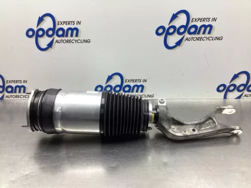 Schokdemperpoot links-voor-