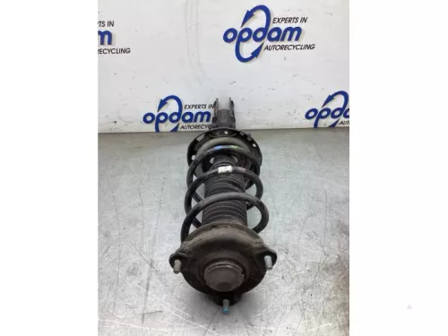 Schokdemperpoot links-voor-8253942