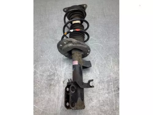 Schokdemperpoot links-voor-8062216