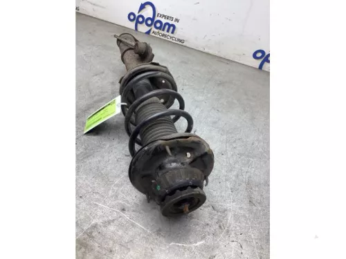 Schokdemperpoot links-voor-8265554