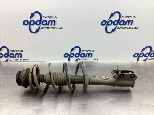 Schokdemperpoot links-voor-8031697