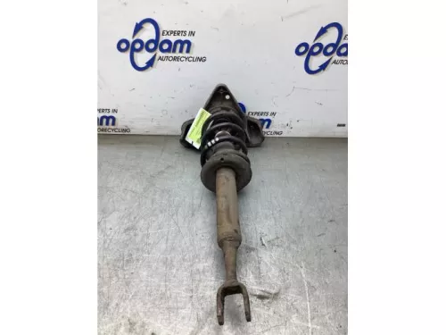 Schokdemperpoot links-voor-8310598