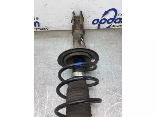 Schokdemperpoot links-voor-8161494