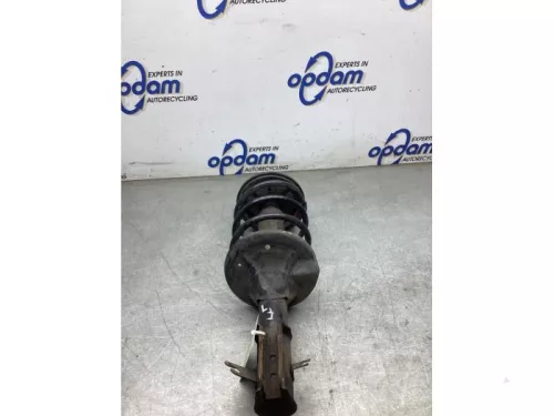 Schokdemperpoot links-voor-8289189