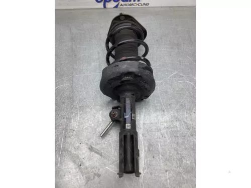 Schokdemperpoot links-voor-8175775