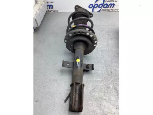 Schokdemperpoot links-voor-8096015