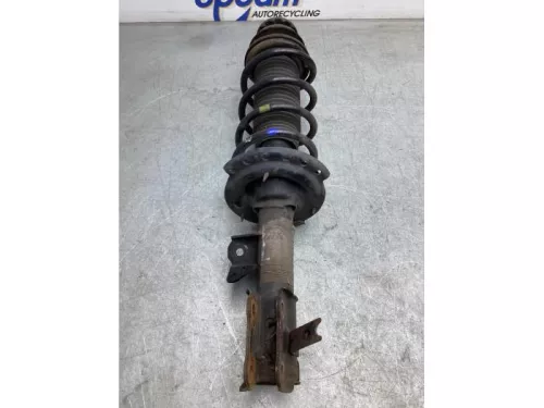 Schokdemperpoot links-voor-8047136