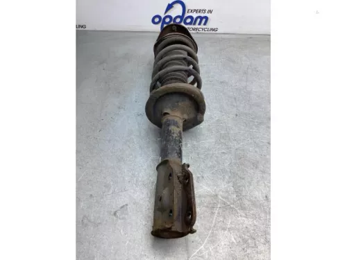 Schokdemperpoot links-voor-7991380