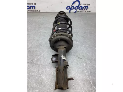 Schokdemperpoot links-voor-8125529