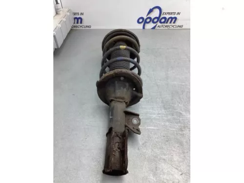 Schokdemperpoot links-voor-8162308