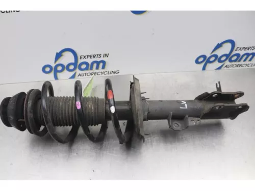 Schokdemperpoot links-voor-7712134