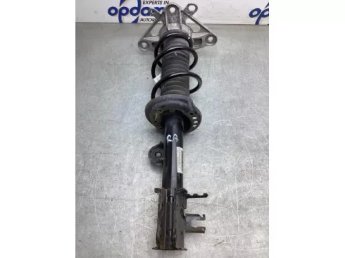 Schokdemperpoot rechts-achter-8202418