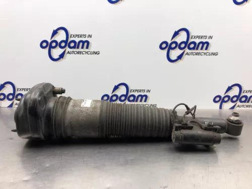 Schokdemperpoot rechts-achter-8181831