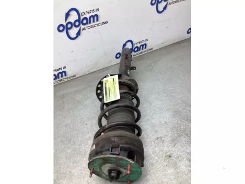 Schokdemperpoot rechts-achter-7867513