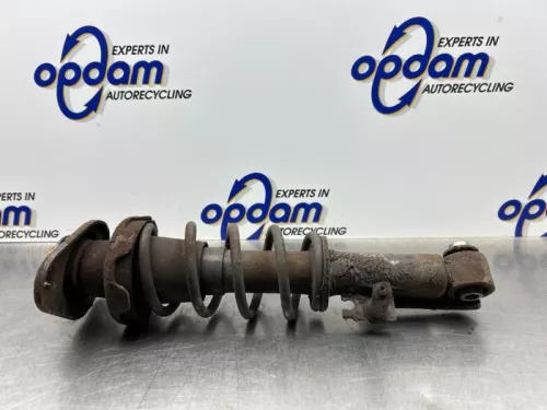 Schokdemperpoot rechts-achter-8217403