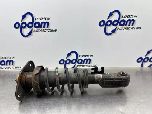 Schokdemperpoot rechts-achter-8118981