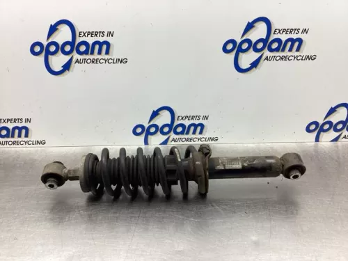 Schokdemperpoot rechts-achter-7983895