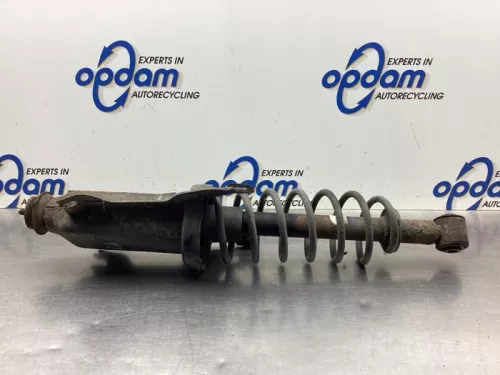 Schokdemperpoot rechts-achter-8039563