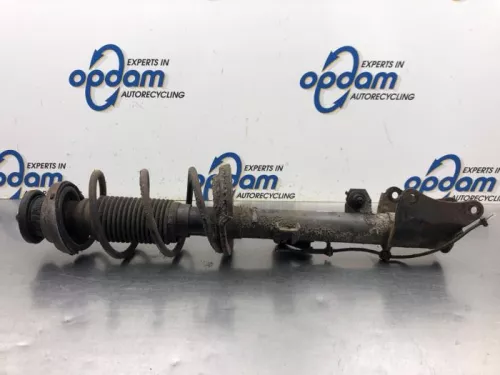 Schokdemperpoot rechts-achter-7981023