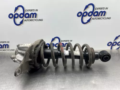 Schokdemperpoot rechts-achter-8221622