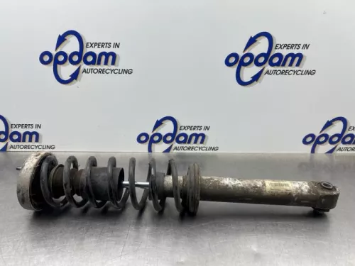 Schokdemperpoot rechts-achter-8192736