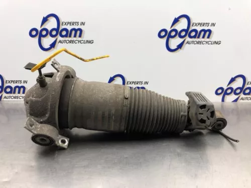 Schokdemperpoot rechts-achter-8214842