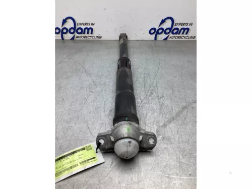 Schokdemperpoot rechts-achter-8241374