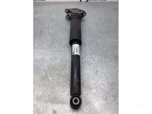 Schokdemperpoot rechts-achter-7747224